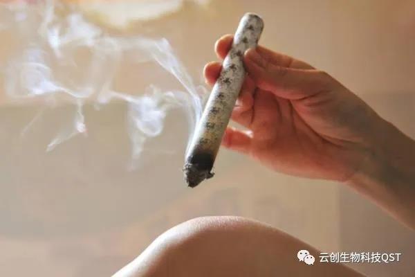 艾灸能同時調(diào)理好幾種婦科問題，簡單有奇效，現(xiàn)在開始灸還不晚！