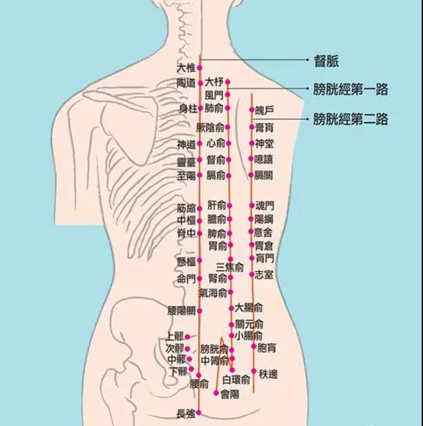 冷熱痛麻酸腫，這是經(jīng)絡(luò)信號在傳遞身體隱患