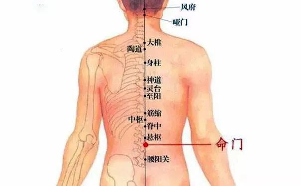 命門火衰影響人體生老病衰？命門穴有何神奇，竟決定生命的元陽(yáng)盛衰？